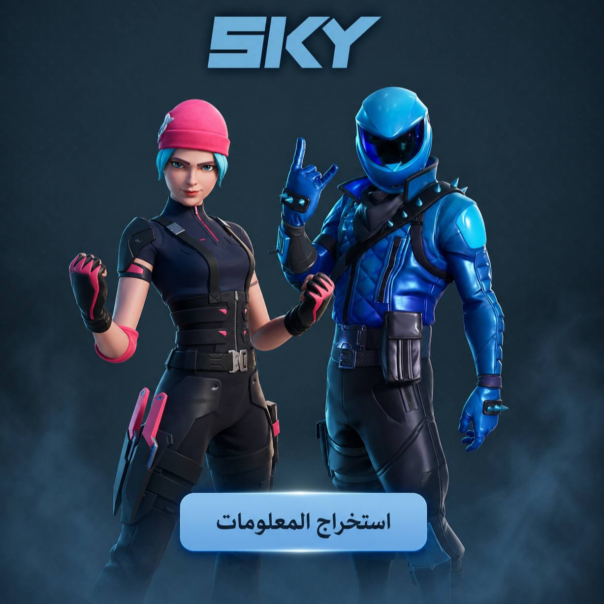 استخراج المعلومات